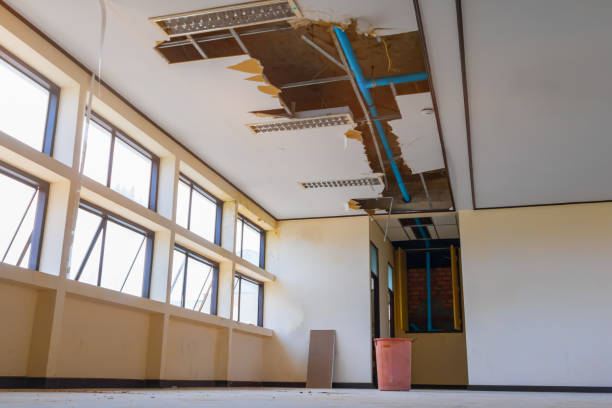 Best Commercial water damage restoration  in Montrose, VA