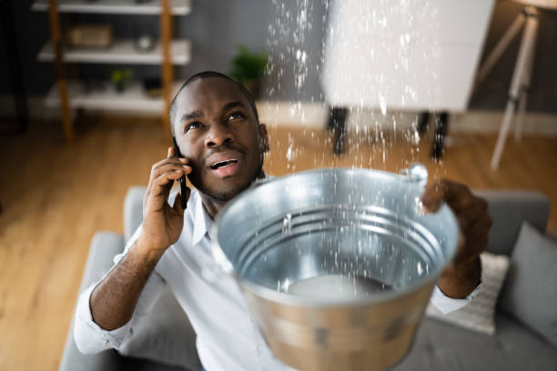 Best Flooded house restoration  in Montrose, VA
