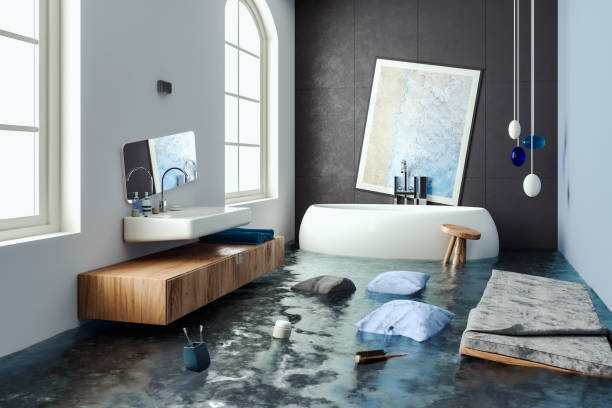 Best Water damage cleanup near me  in Montrose, VA