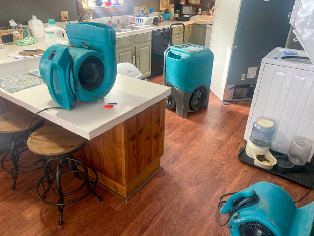 Best Water damage repair service  in Montrose, VA