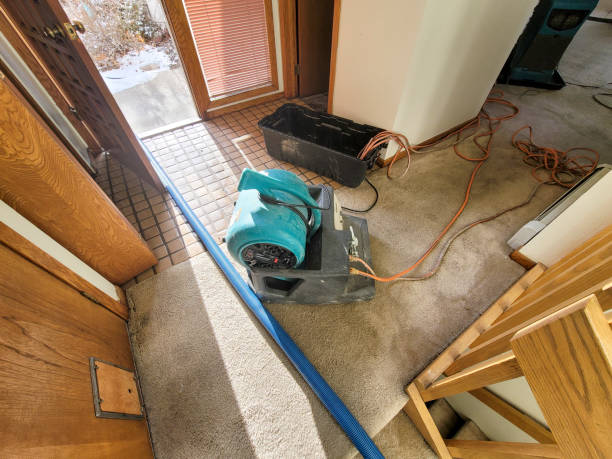 Reliable Montrose, VA Water damage restoration Solutions