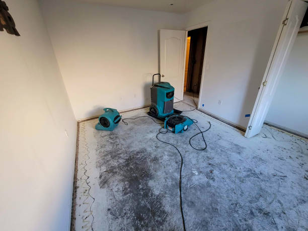 Best Water damage restoration near me  in Montrose, VA