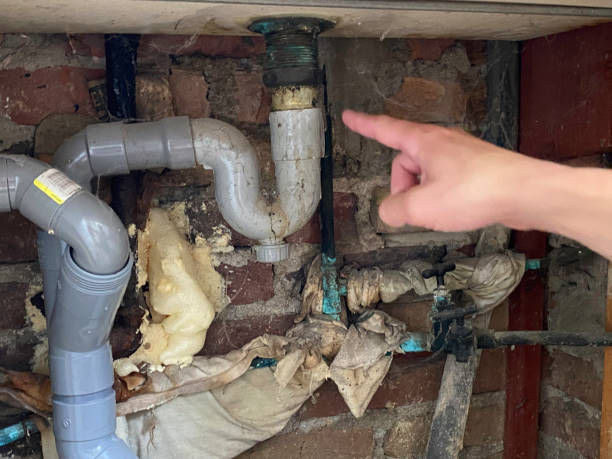 Best Flood damage cleanup  in Montrose, VA