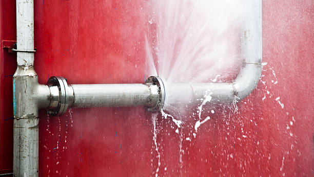 Best Carpet water damage restoration  in Montrose, VA